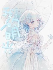 蓝导航小鸟导航