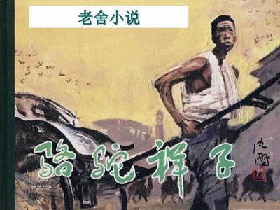 大菠萝福建导航